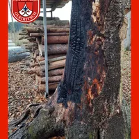 Einsatz 20250330 - B.png